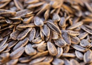 Sunflower kernels