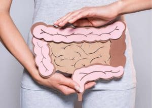 Large intestine