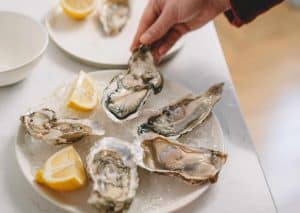 Oysters